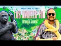 Is The LA Zoo Worth Going To