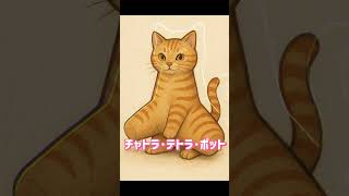 チャトラ･テトラ･ポット#ジャパニーズブレインロット #ブレインロット