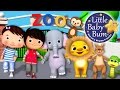 Zoo Song Animal Song Plus Lots More Nursery Rhymes From LittleBabyBum