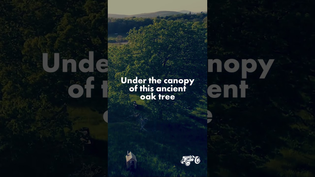 Meadowlark 2024: Save the Date