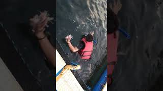 preview picture of video 'Berani berenang dengan HIU?? Rumah Apung - Banyuwangi'