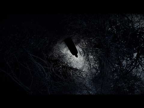 Collapse The Sky - Welcome | Death