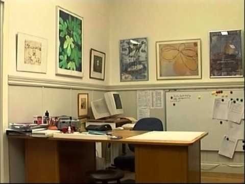 ADHD Att organisera vardagen