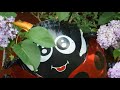 Giant Ladybird Ladybug Balloon Stuck In A Lilac Bush