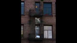 Ron Sexsmith   Every Passing Day