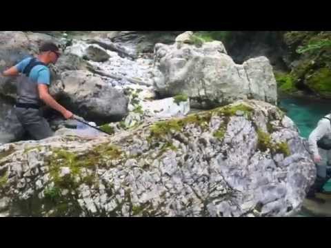 Fly fishing Slovenia 2015 - Brown trout from the emerald river.