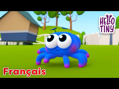 L'araignée Gipsy | Chansons pour Enfants | Hello Tiny en Français