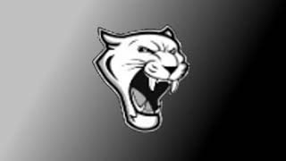 Viborg-Hurley v. Bridgewater Emery Ethan