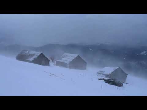 Ambiance de tempête hivernale avec des sons de vent glacé pour dormir