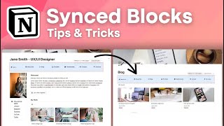 How to Use Synced Blocks in Notion?! | Full Guide & Tutorial