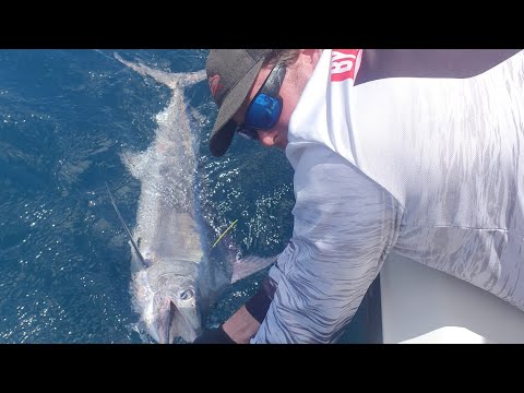 Wildside Sportfishing