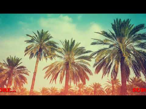 P.K CHISHALA - KANDUBUKE