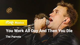The Parrots - You Work All Day And Then You Die (2021) video