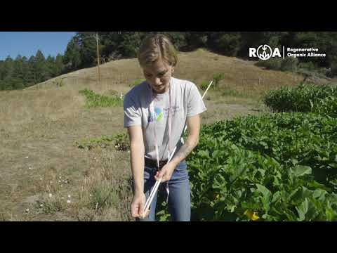 How to Test & Measure Soil Compaction