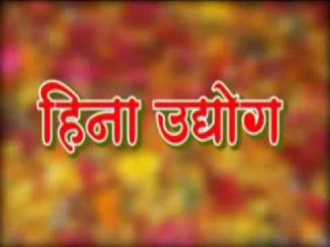 Automatic appalam machine, production capacity: 0-40 kg/day,...