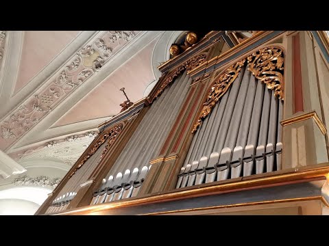 Orgelkurzkonzert am 27.08.2023 (Bach, Bibl, Holzmann, Liszt, Peyer, Speth) | Abtei St. Georgenberg