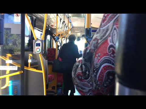 2594 ST - Transit Systems Sydney - Scania K280UB/ZF EcoLife Gearbox - Sydney,Australia 2019