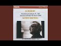 Schubert: Piano Sonata No. 21 in B flat, D.960 - 2. Andante sostenuto