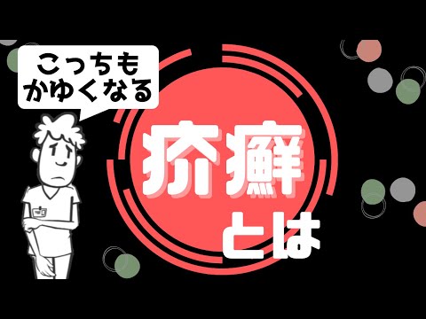 適切な耐性のある植物 冷たい風を恐れずに大量の境界線に日光が当たる