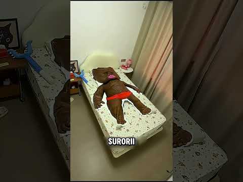 Farsă cu pătura-om: sora mea s-a speriat rău! 😂 #prank #funny #shorts