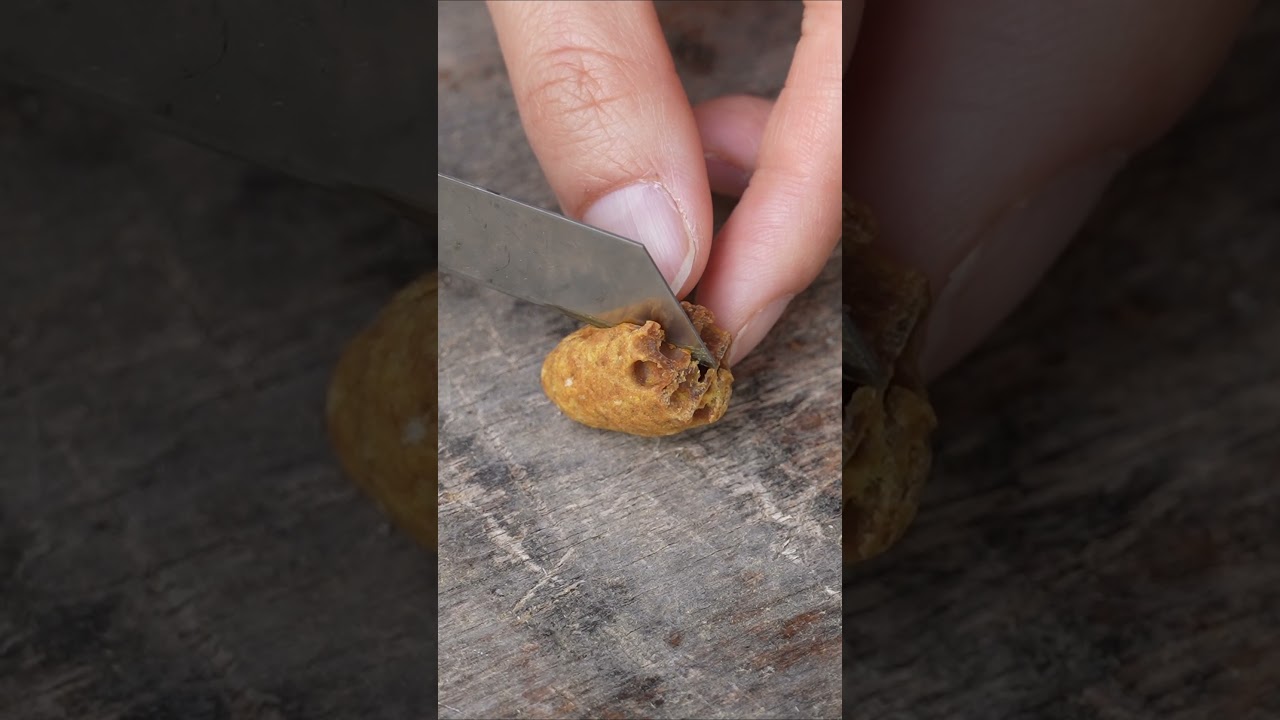 Split Open an Overdue Queen Cell... and Found Nothing