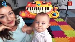 Kočičí piáno Meowsic