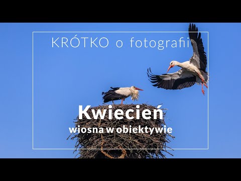 KWIECIEŃ - wiosna w obiektywie - KRÓTKO o fotografii