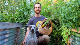 I Barely Maintained This Garden… Look What Grew!