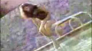 GUARDIANES DEL AMOR - AMOR SE ESCRIBE CON LLANTO