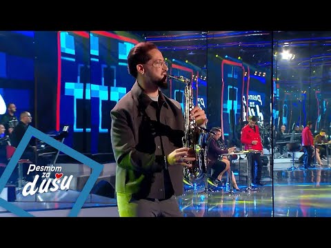 Ferki Sax - Svajcarski cocek - PZD - (Tv Grand 25.11.2024.)
