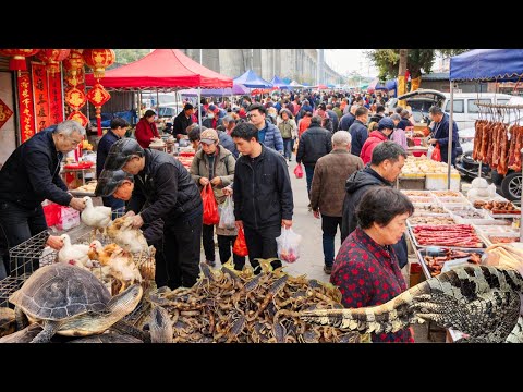 🐊 🦂 🐢 China's Lunar New Year Market in Guangzhou: From Traditional Goods to Unique Ingredients