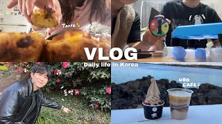 【vlog】チェジュ島で暮らす日韓夫婦の日常