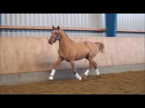 3j Wallach v. A Gorgeous