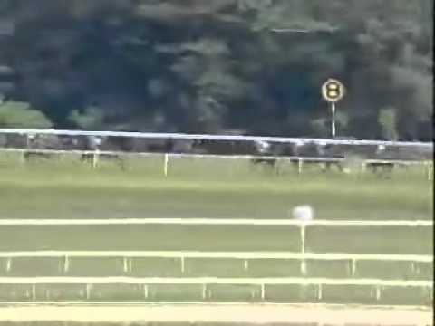 20110227 IPOH CLASS 3 1600M (LC) - GOLAN HEIGHTS (L Sofhan)