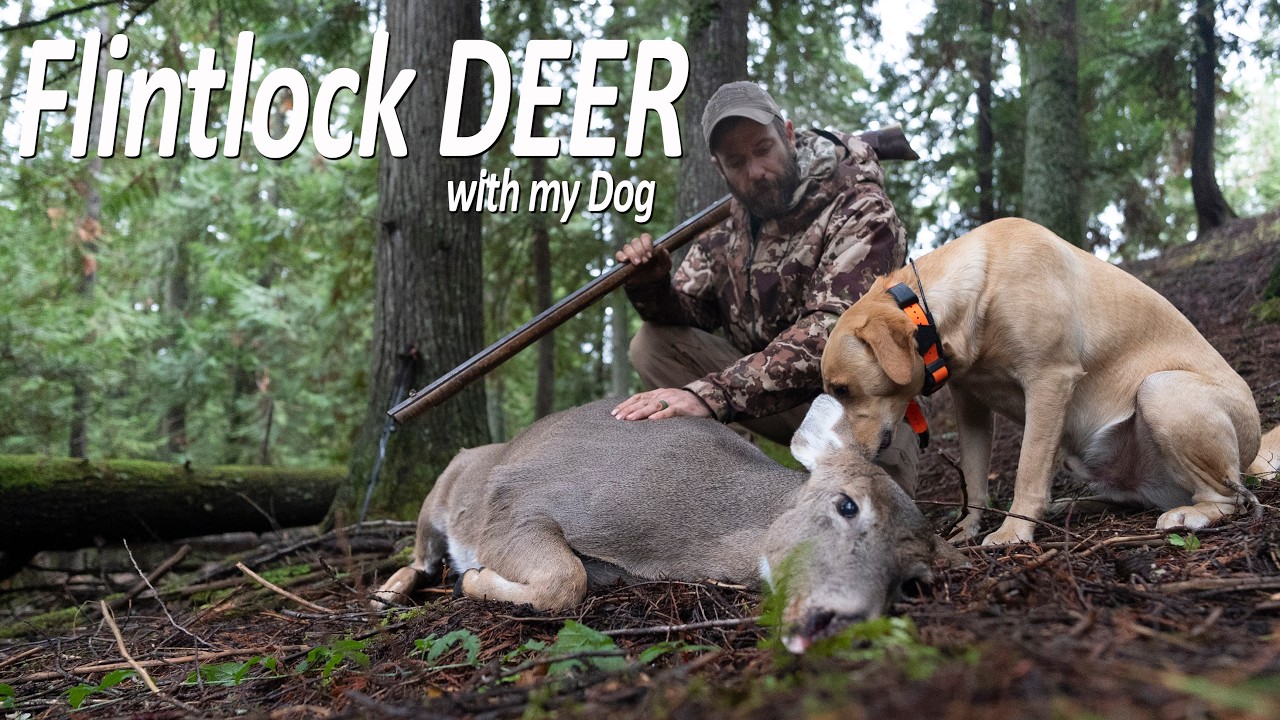 I took my Dog FLINTLOCK Deer Hunting and This Happened! Catch and Cook