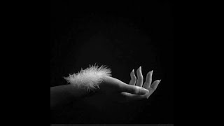 Weiße Rosen schenk ich Dir *** G :G  Anderson***