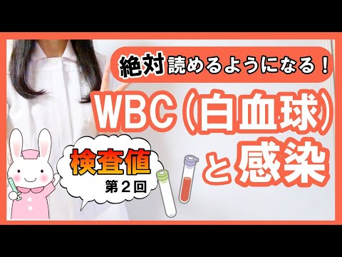 【検査値】採血の検査結果「白血球」の読み方と感染 #2