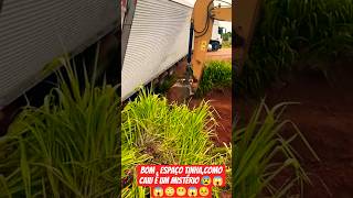 Faltou ângulo de aproveitamento da curva. #caminhão #caminhoneiro