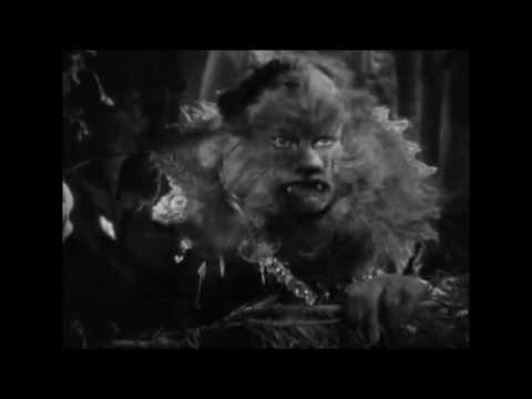 Salvatge Cor - Jaculatòria