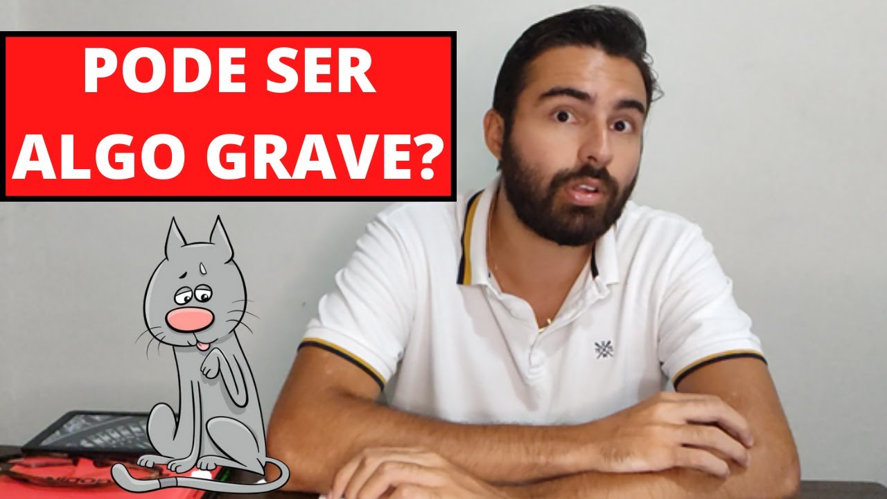 POR QUE MEU GATO ESTÁ SE LAMBENDO DEMAIS?