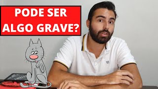 POR QUE MEU GATO ESTÁ SE LAMBENDO DEMAIS?
