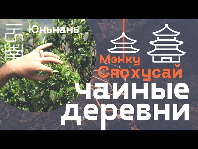 Чайные деревни. Мэнку, Сяохусай. Юньнань