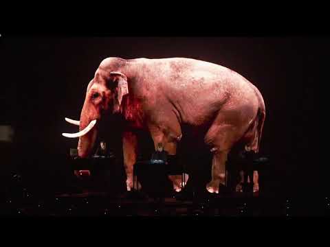 Hernan Cattaneo - Future Memories Live On Gran Rex 25/10/21