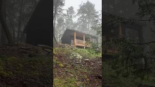 Touring a 700 square foot Modular Home in the Forest! #hometour