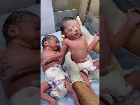 Newborn twins babies🥰😇 #nicucare #newbornbaby #neonatologist