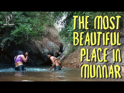 The Most Beautiful Place in Munnar | Suryanelli | Travel Vlog 1