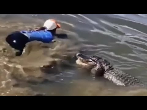 Florida lady jumps into alligator infested pond 🐊😱