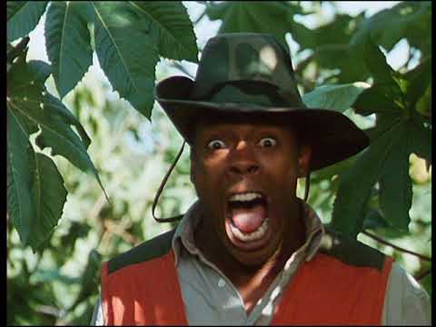 Trailer-Vorschau: Zwei Supertypen in Miami