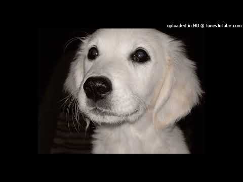 beats compilation prod.@m0rph