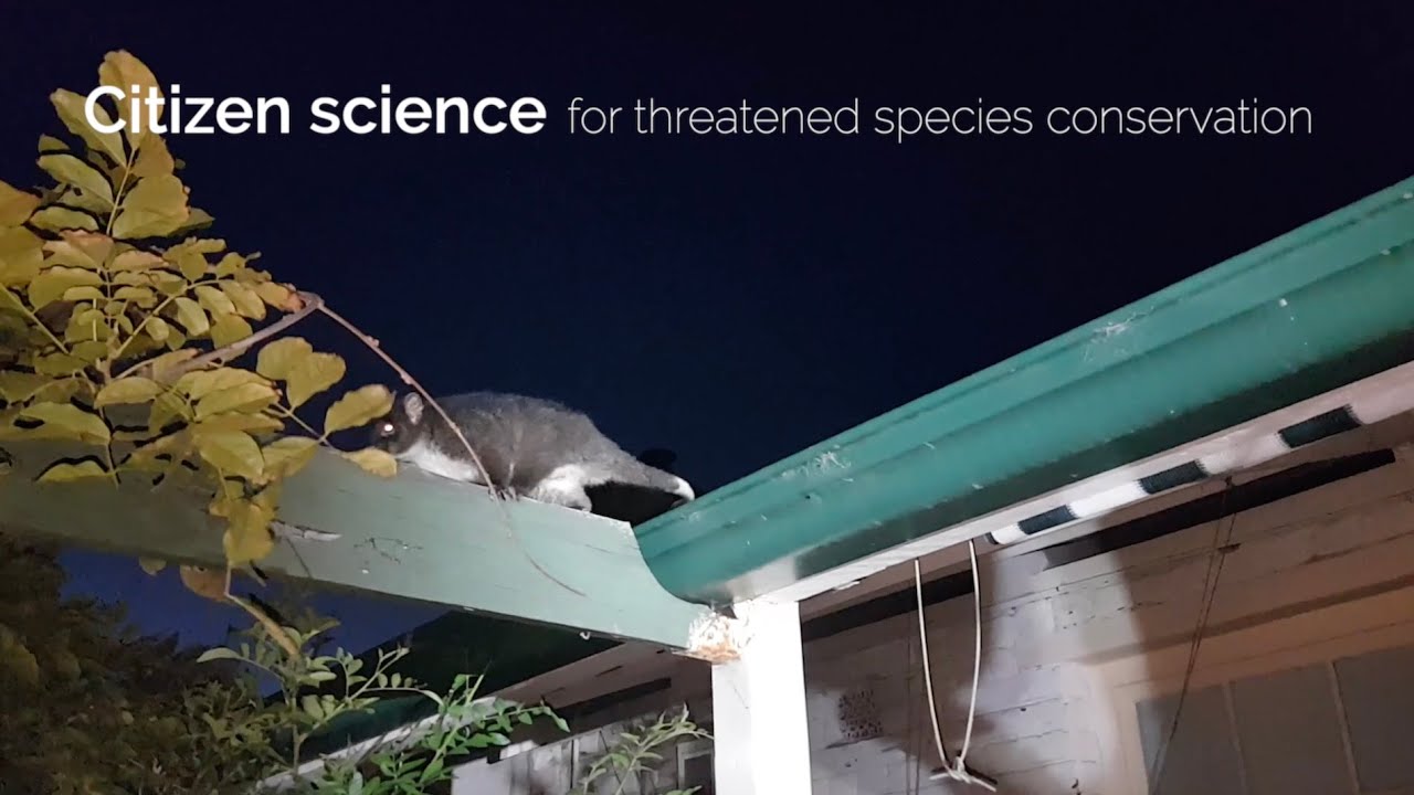 Citizen science for threatened species conservation